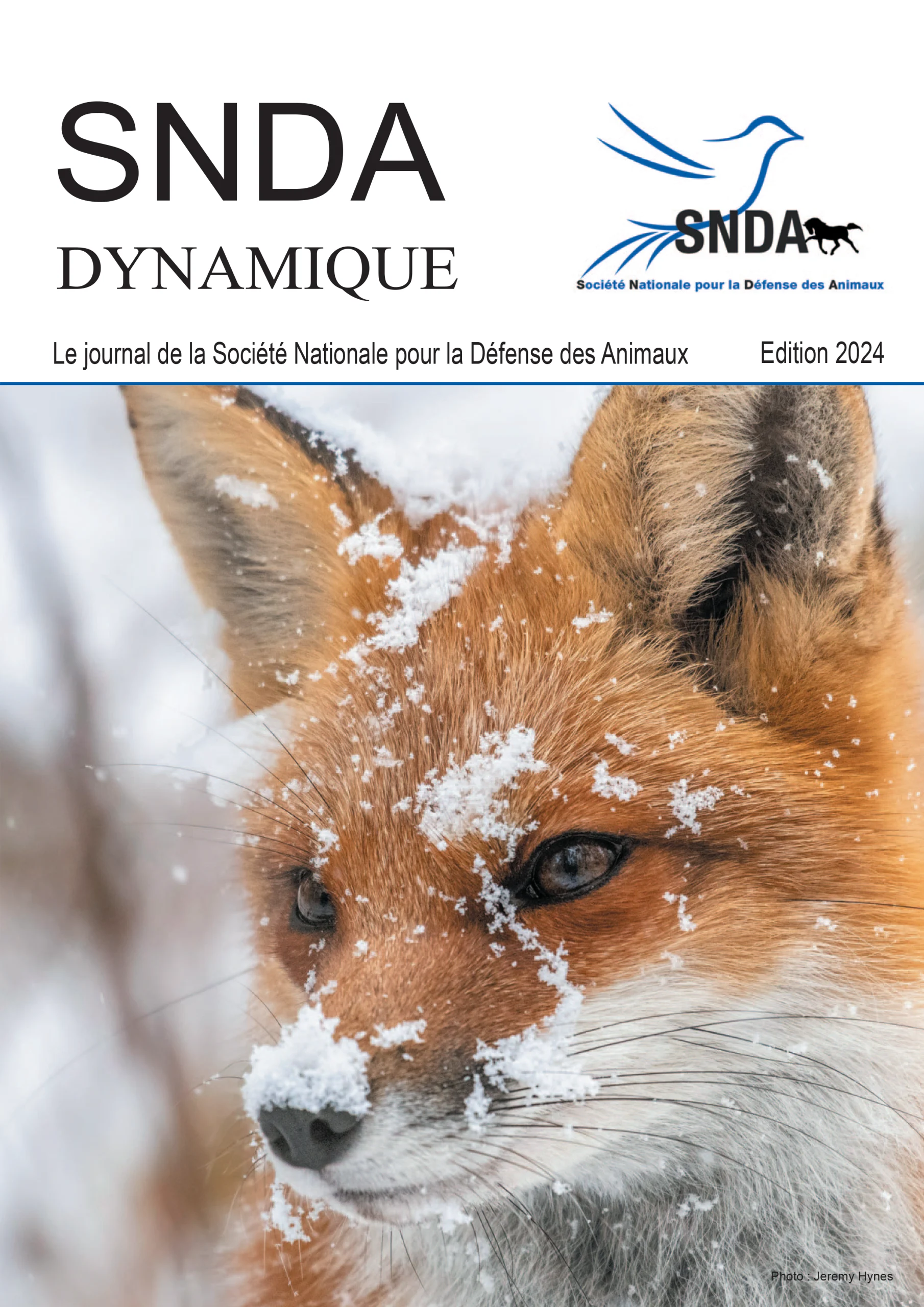 Snda Form.pdf Dynamique, Le magazine de la SNDA