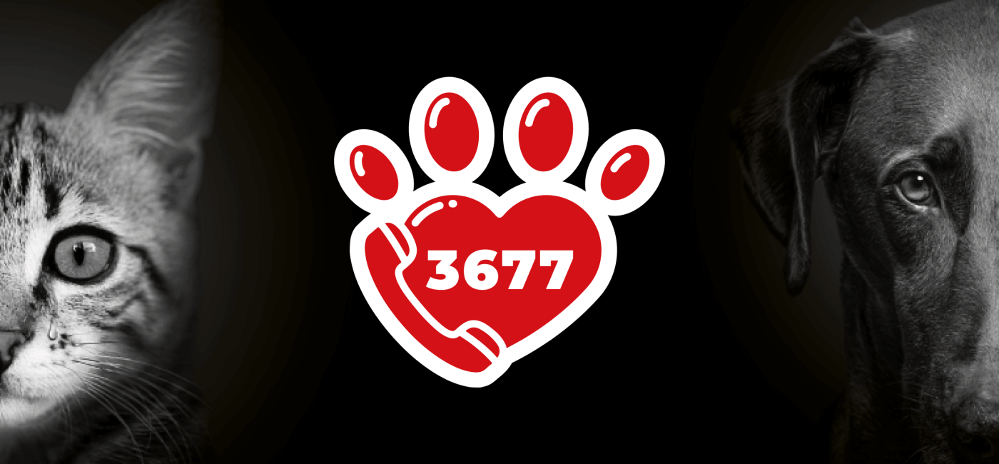 Le 3677 SOS Maltraitance Animale rejoint la SNDA