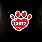 Le 3677 SOS Maltraitance Animale rejoint la SNDA