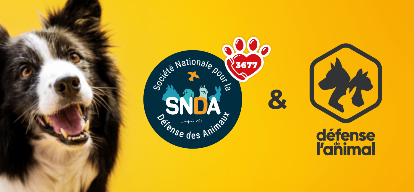 SNDA & CNDA : un nouveau partenariat pour mieux protéger les animaux