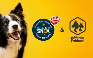 SNDA-article-partenariat-CNDA-un-nouveau-partenariat-pour-mieux-proteger-les-animaux